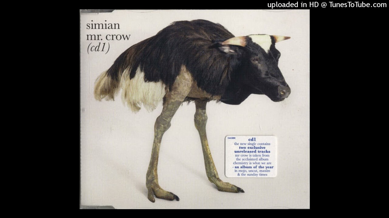 Simian - Mr. Crow (Radio Mix)