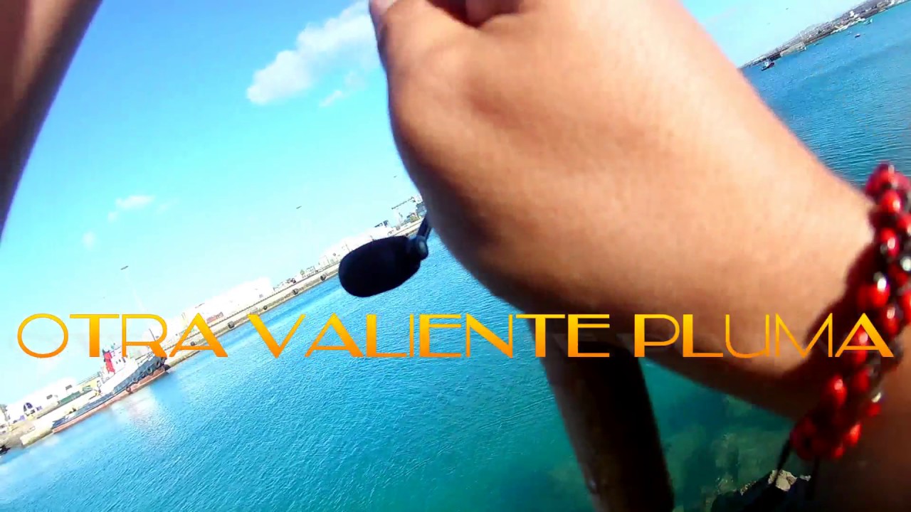 calamar a rockfishing the crazy fishing