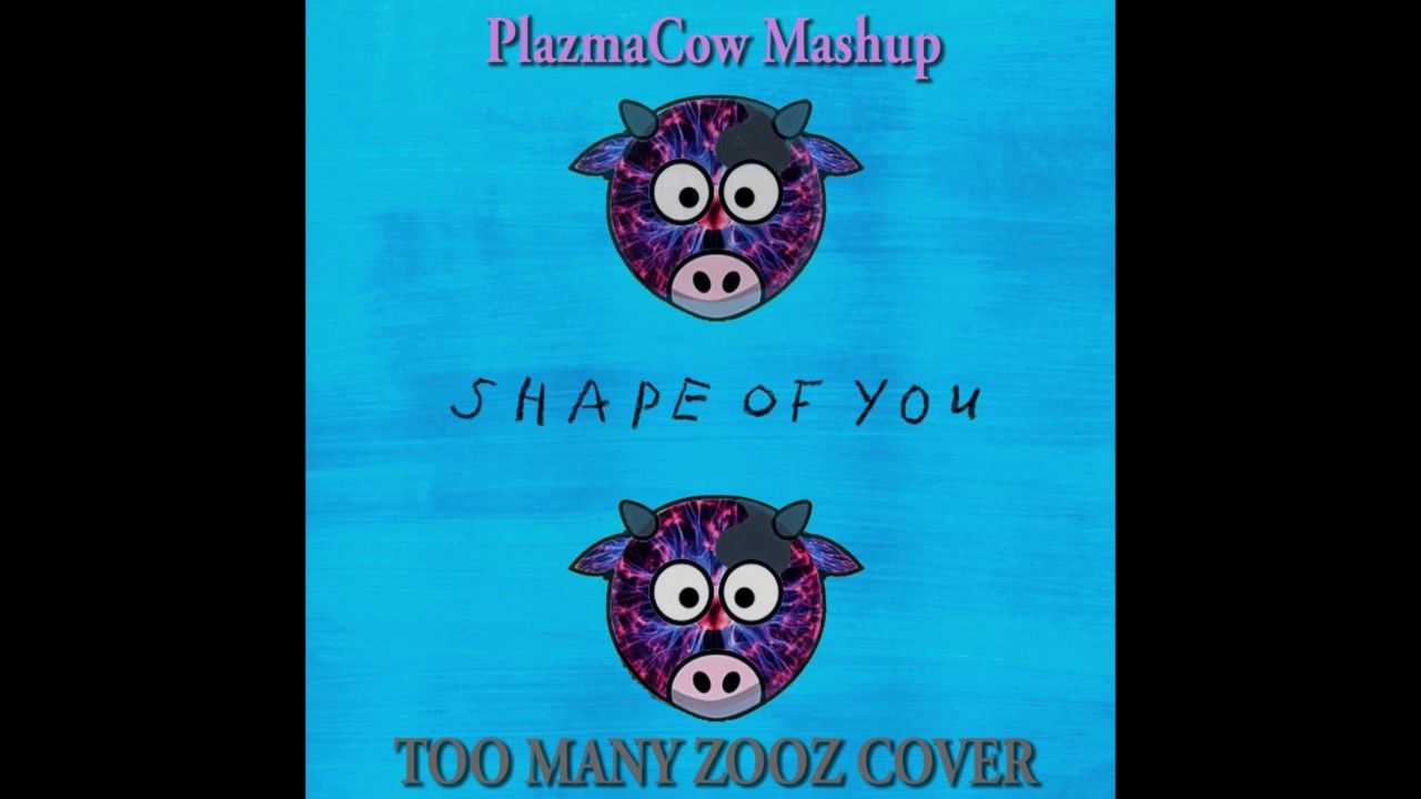 Shape of You TOO MANY ZOOZ Cover (PlazmaCow Mashup)