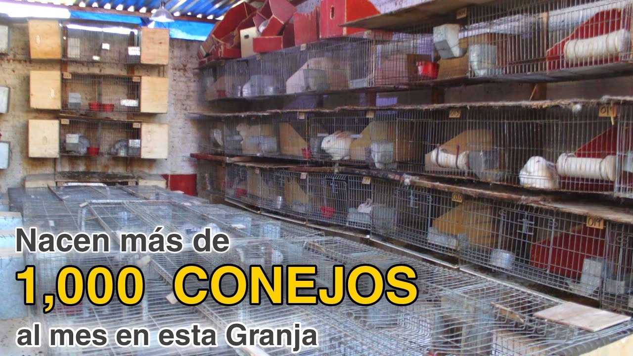 NUEVO RECORD 