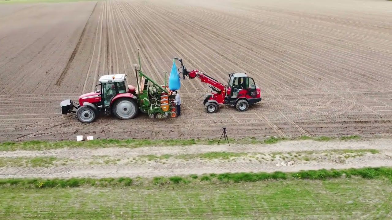 ☆Siew kukurydzy 2022☆Massey Ferguson 6460&Amazone ed 452☆|Firma Ragt|