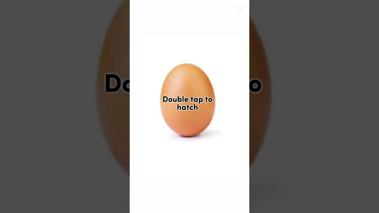 YOU FOUND A RARE EGG