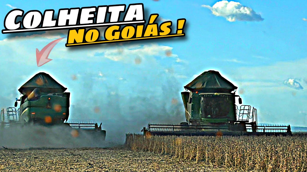COLHENDO SOJA NO GOIÁS 🫡💪🏼🚀!!!