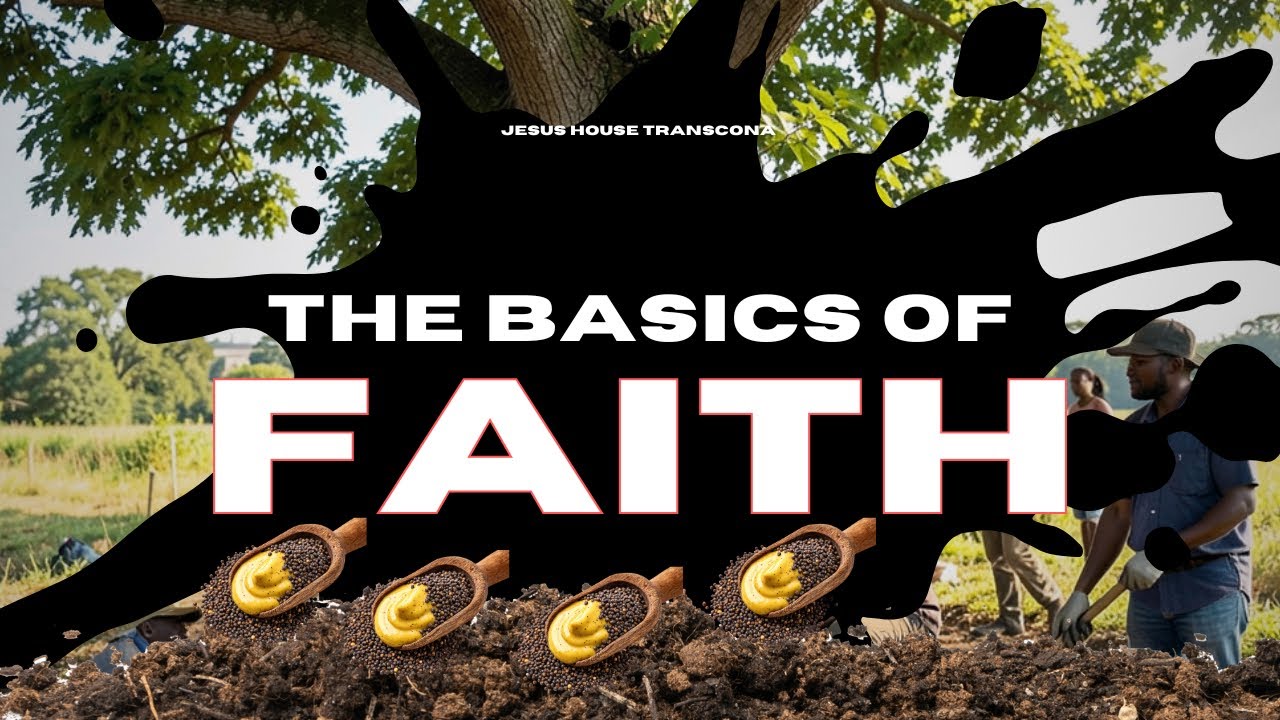 The Basics of Faith