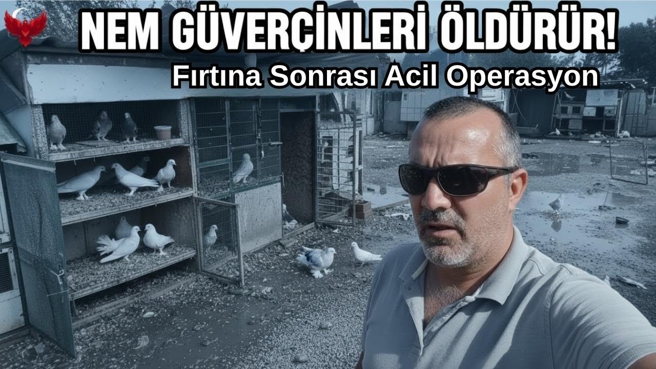 SAĞNAK YAĞMUR SERPİNTİ KÜMESLERE GİRDİ!TEMİZLİK YAPTIM ARYA