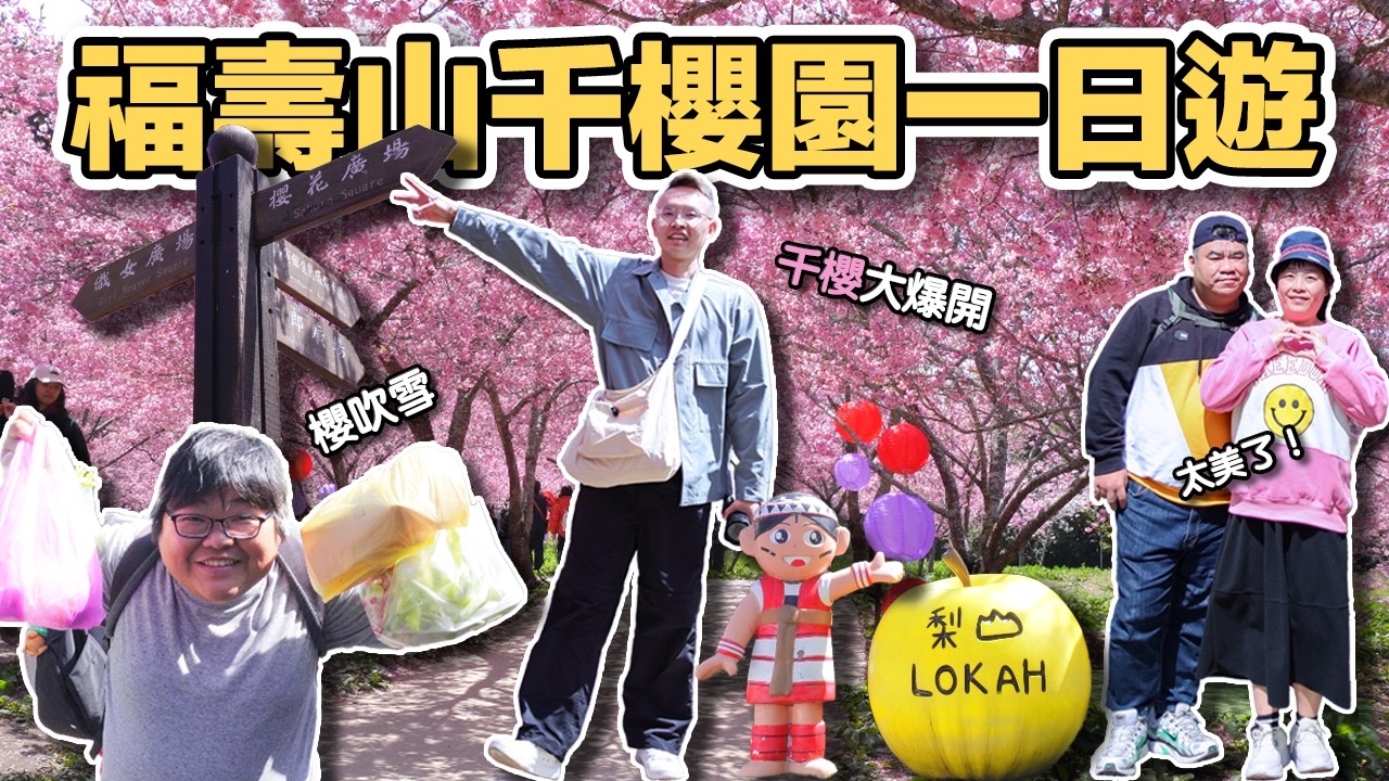 【ManLife】台中和平梨山福壽山千櫻園一日遊｜春季限定台灣最強的櫻花海 一生一定要看一次 Taichung Lishan Day Trip《阿滿生活｜台中》