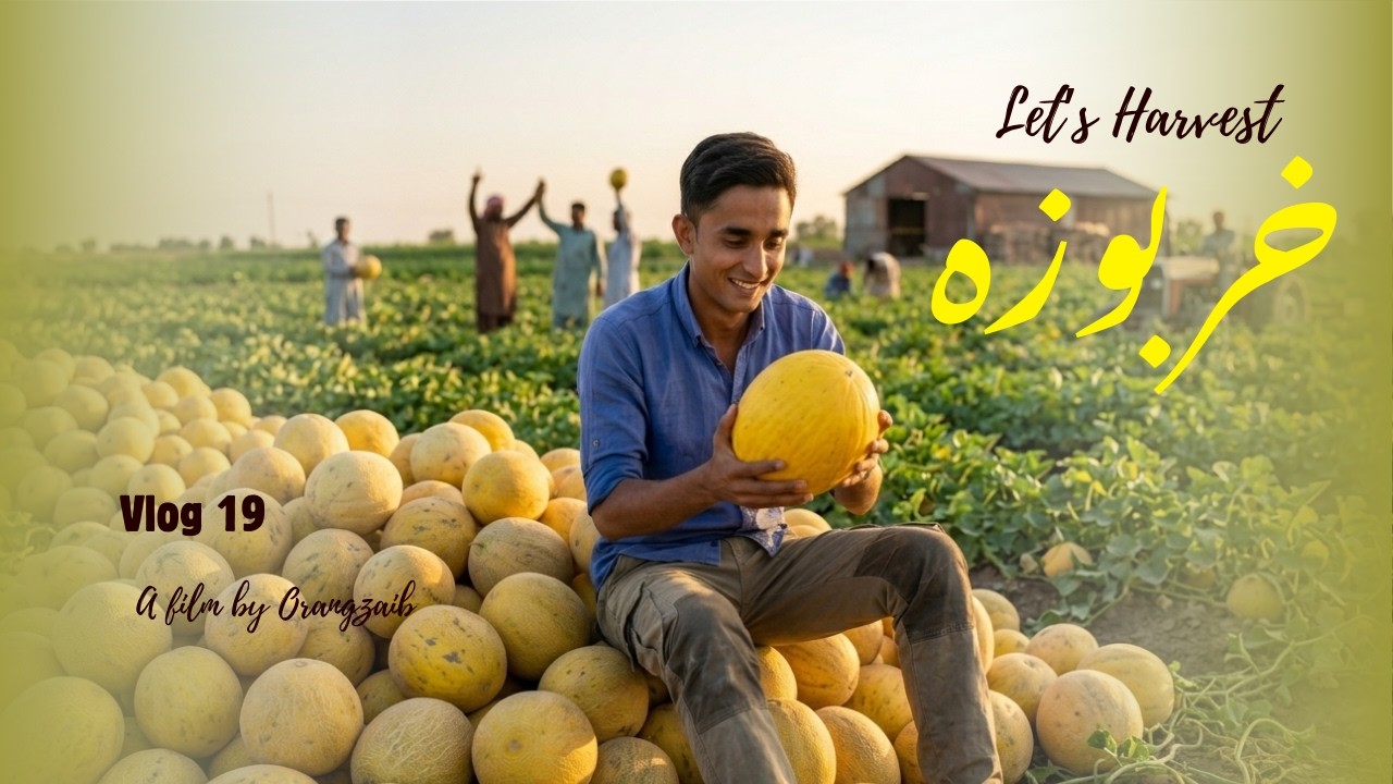 KHARBOOZA, Katai se Mandi takkk...! Vlog 19