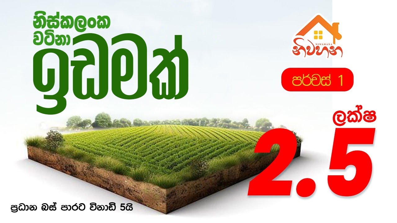 නිස්කලංක වටිනා ඉඩමක් | ප්‍රධාන පාරට විනාඩි 5 | පර්චස් 1 - ලක්ෂ  2.5