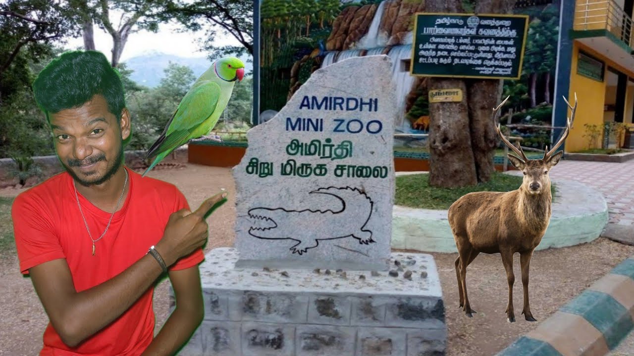 Amirthi forest | Vellore | Cosmic Voyage  #travelvlog#park #viral #viralvideo #amirthi #cosmicvoyage