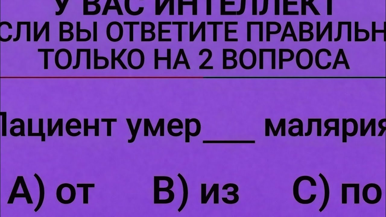 Только умные ответят правильно! Русский язык — сложный предлог