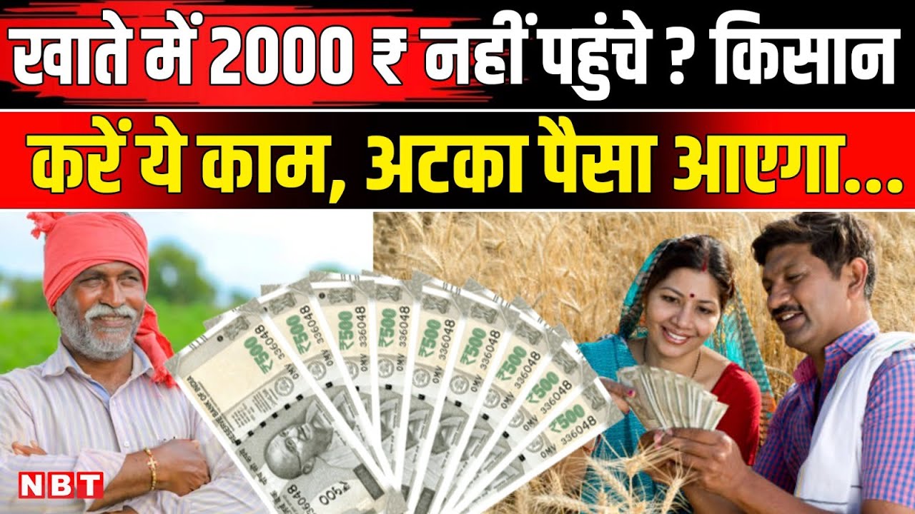 PM Kisan Samman Nidhi Yojana 21st Installment: किसानों के खाते में पैसे नहीं आए तो ये काम करें | NBT