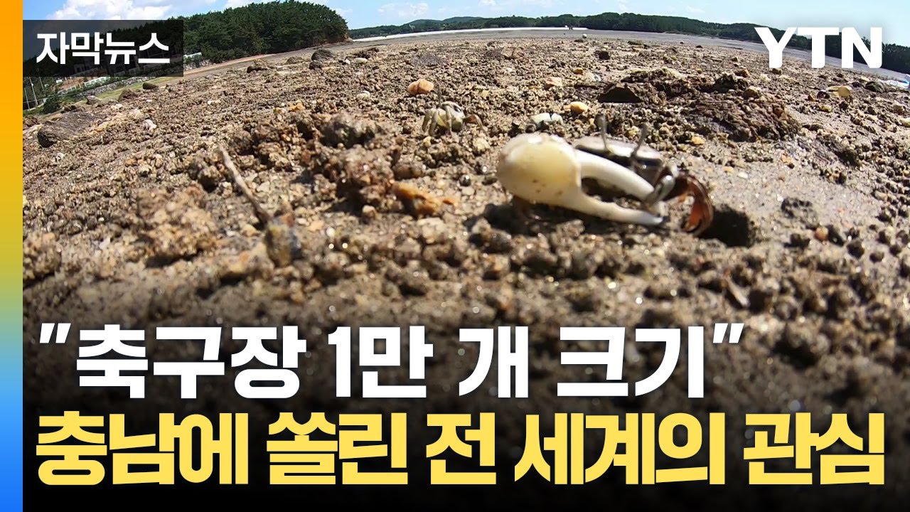 [자막뉴스] 멸종 위기종의 낙원...대한민국에 존재하는 미지의 장소 / YTN
