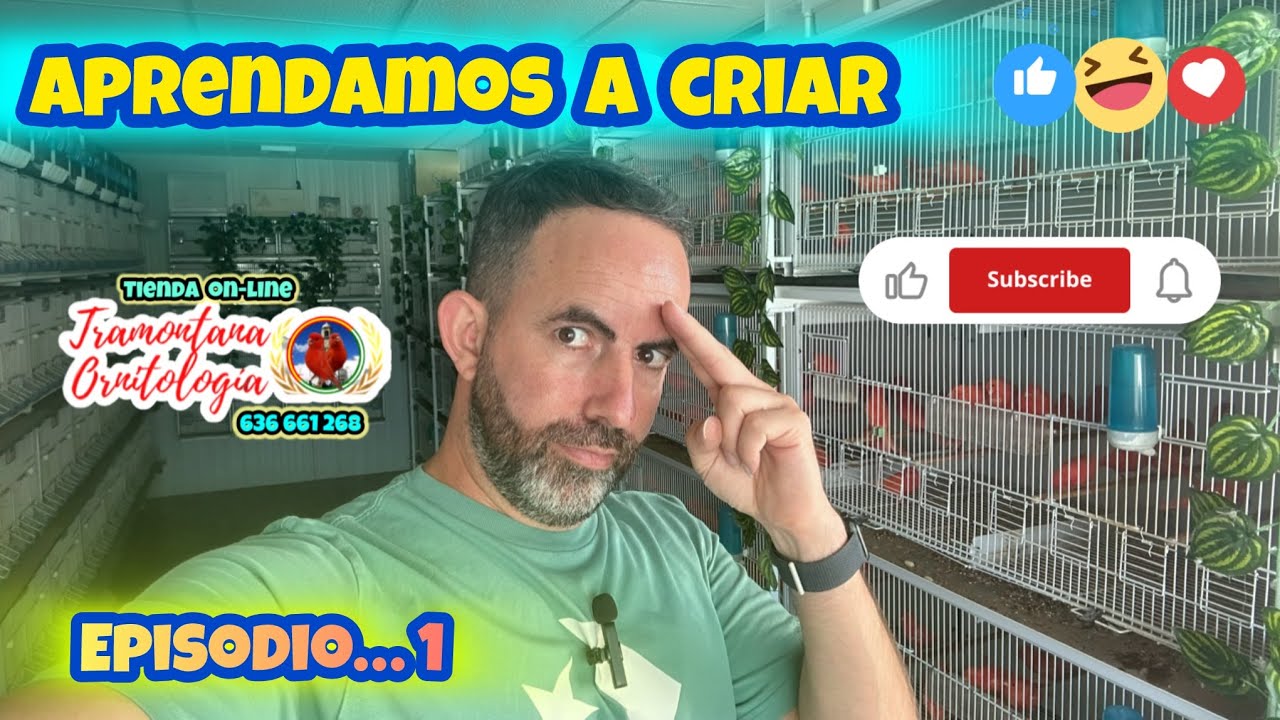 Tutoriales de CRIA de canarios ……: Episodio numero 1.