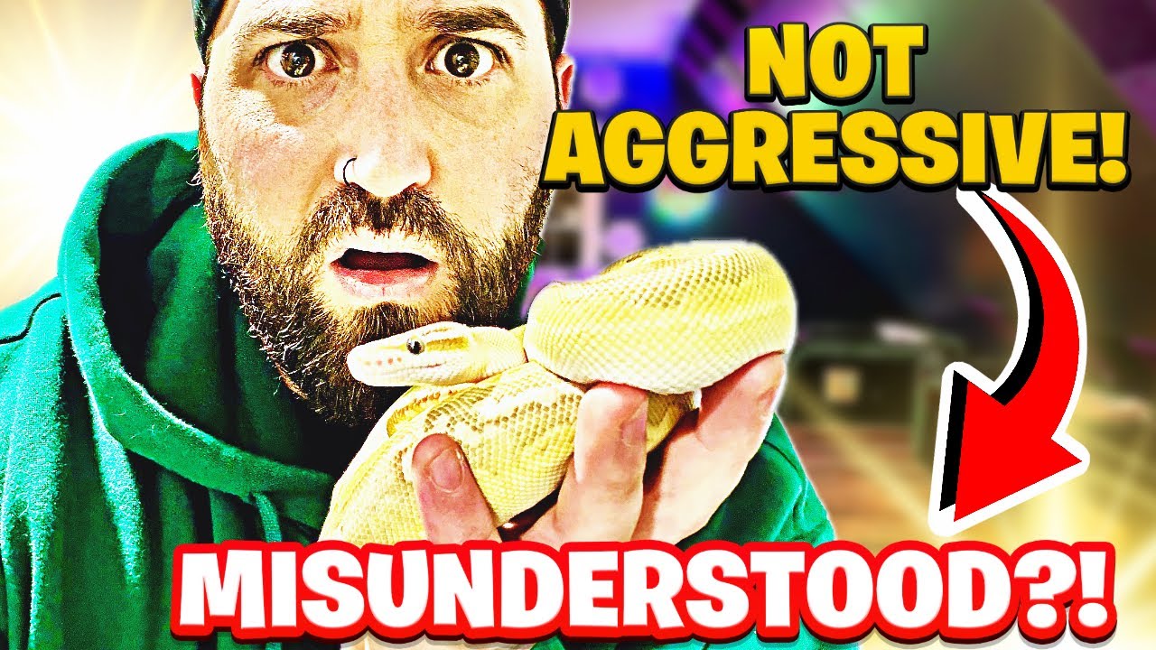 5 Snake Behaviors EVERYONE Gets WRONG! | Even Experienced KEEPERS!