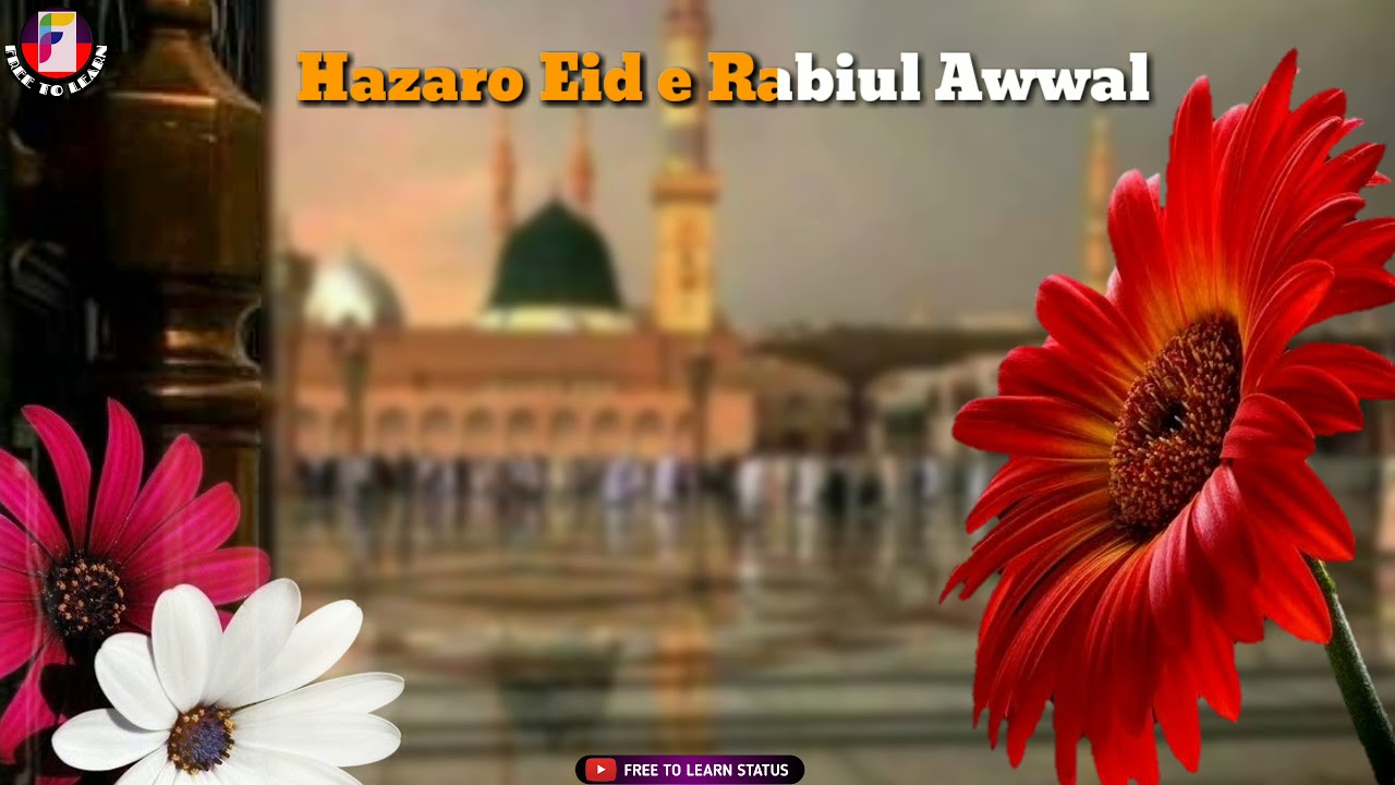 🇲🇷😍EID E MILAD STATUS 😍 🇲🇷