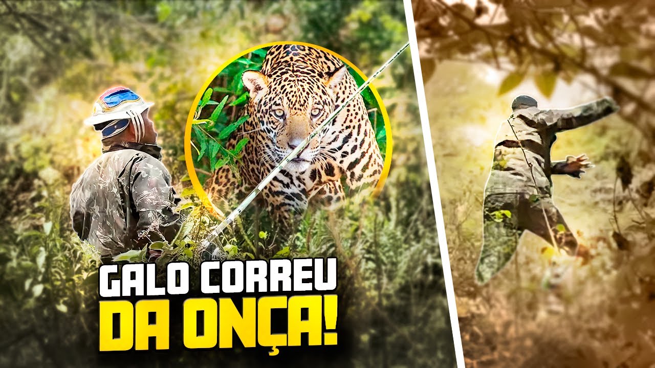 A ONÇA APARECEU PARA GALO CEGO NA PESCARIA E VEJA NO QUE DEU 🤣🤣 | GALO CEGO