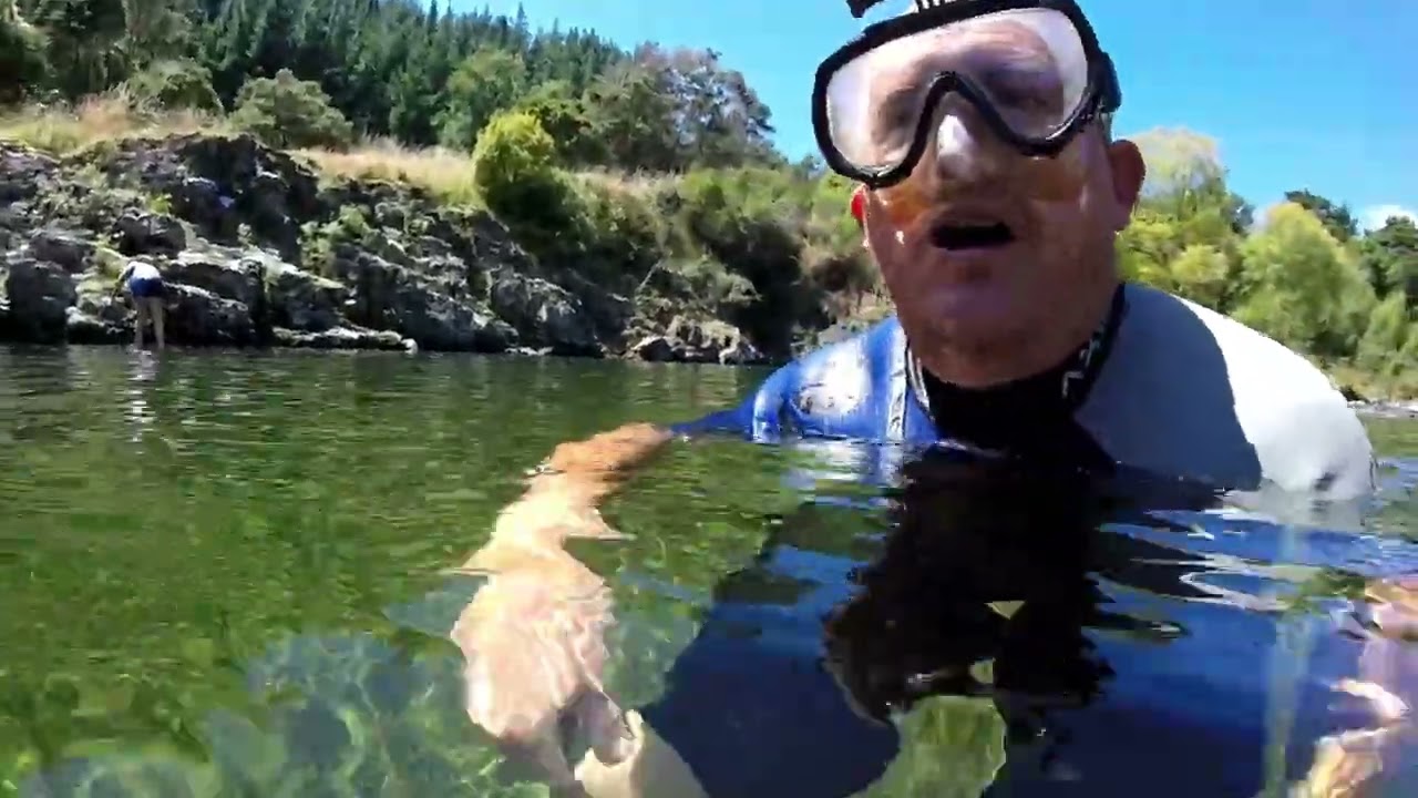 White Gates Swimming