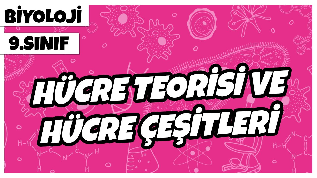 9. Sınıf Biyoloji - Hücre Teorisi ve Hücre Çeşitleri