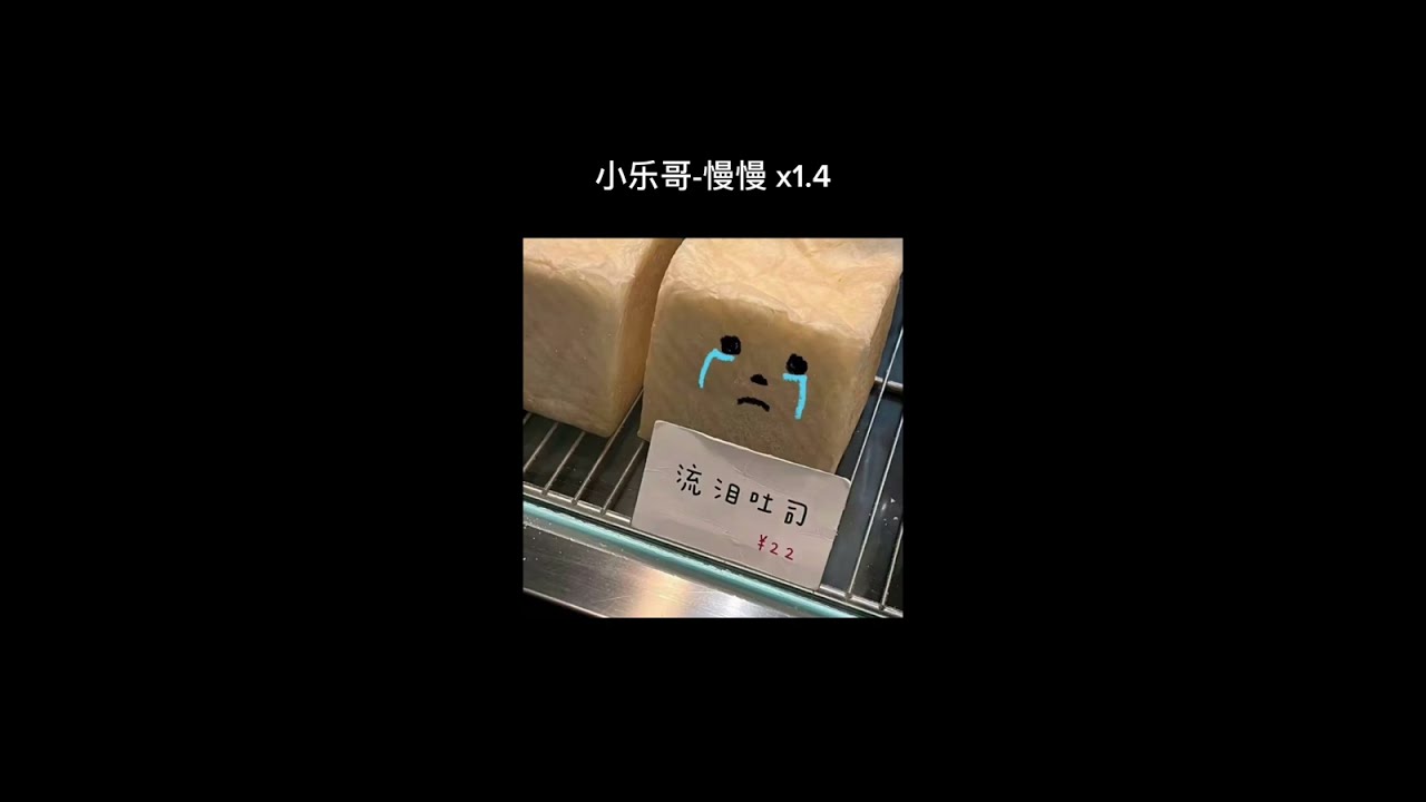 小乐哥-慢慢 x1.4 (sped up)