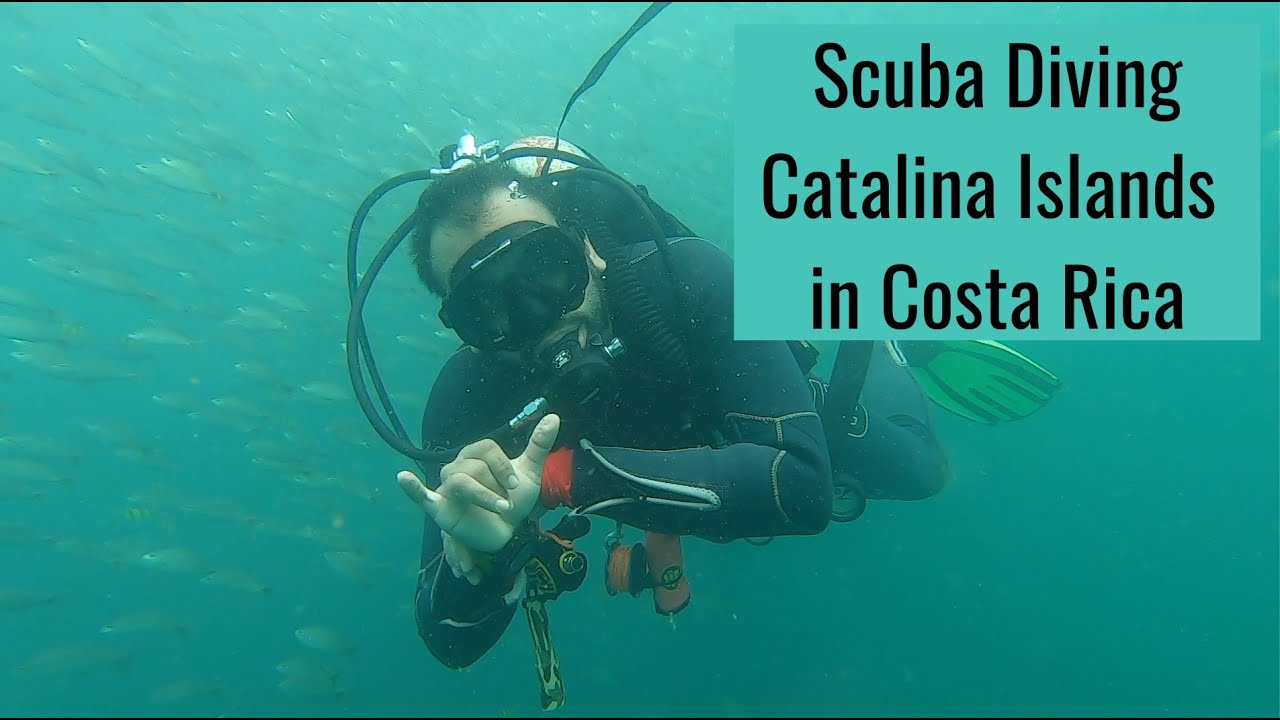 Scuba Diving Catalina Islands in Costa Rica