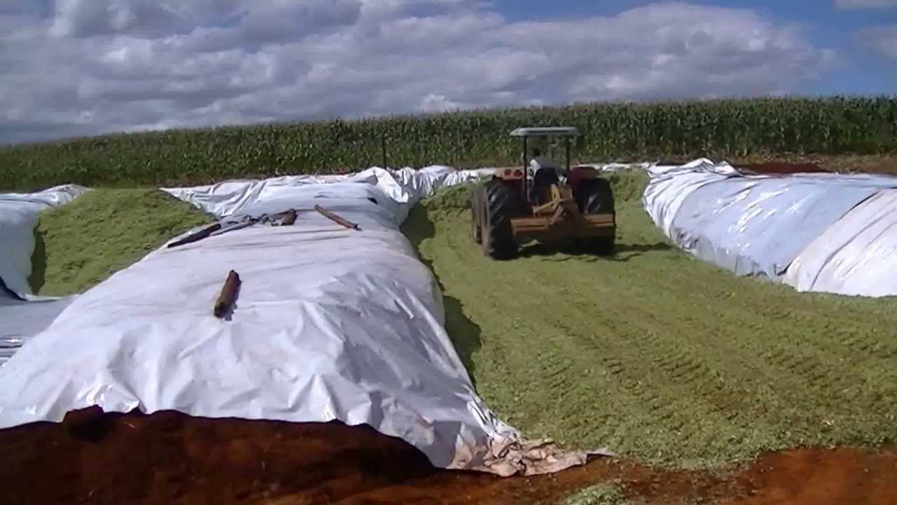 Silagem - O Homem do Campo