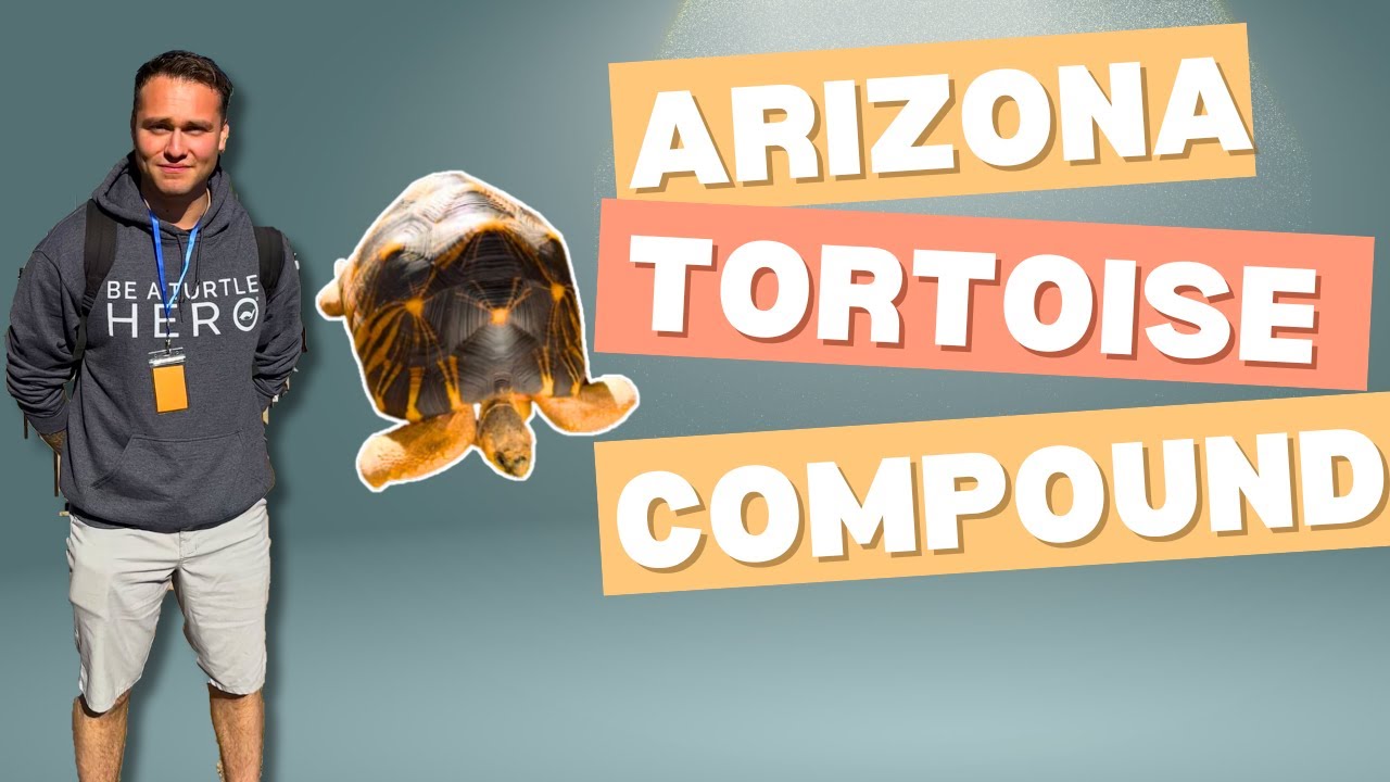 Touring Arizona Tortoise Compound & Hanging With Turtle Nerds !!!