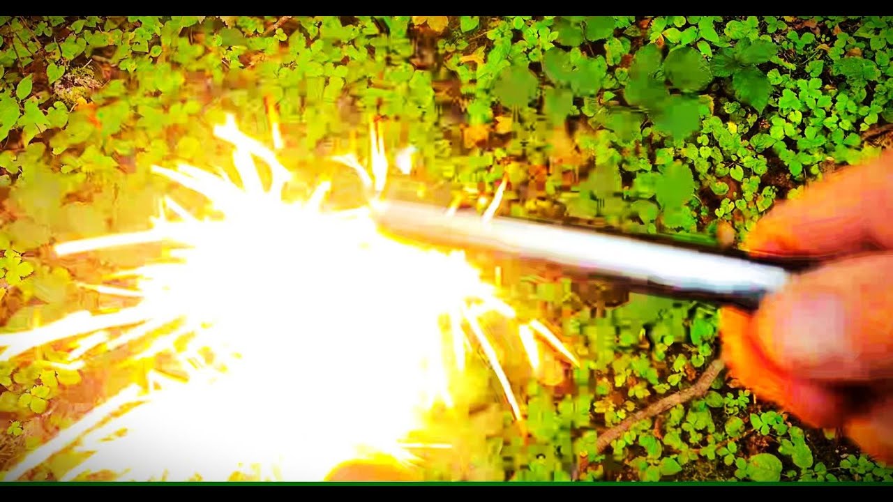 FOREST FUNDAMENTALS - A Great British Bushcraft Company
