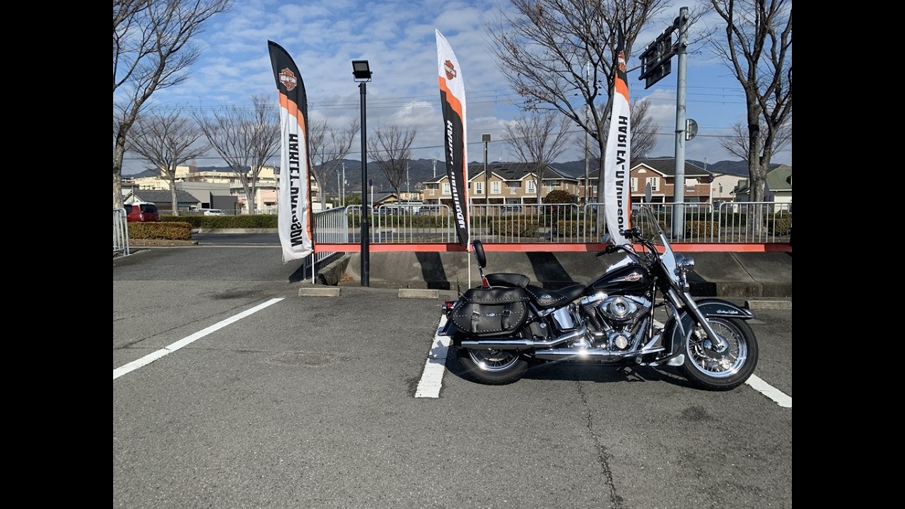 USED 2008 FLSTC ハーレーダビッドソン和歌山中古車動画