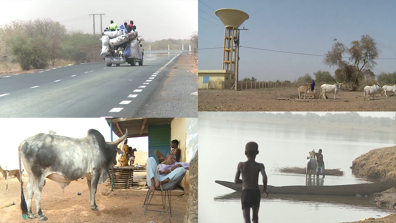 Découvrez la vie des éleveurs du Férlo au Fouta Senegal dans carnet de voyage