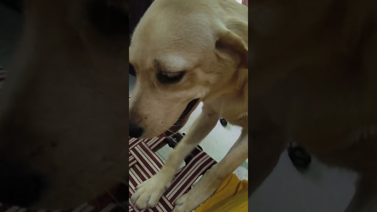 Maati chun chun mahal banaya 