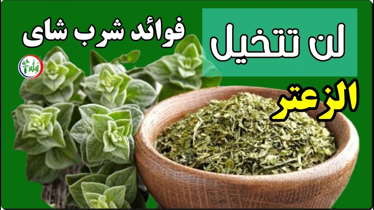 فوائد الزعتر | اشربوا شاي الزعتر وبعد 7 أيام هذا ما سوف يحدث لجسمكم | ويعالج الكثير من الامراض