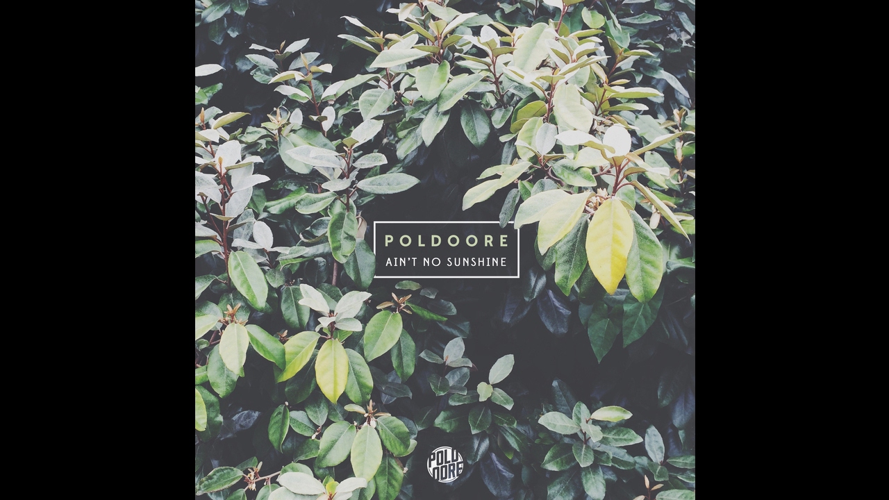 Poldoore - Ain't No Sunshine (Live Version)