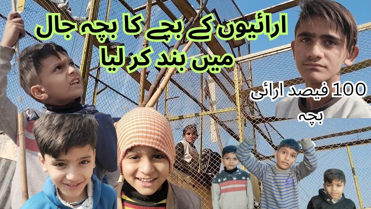اج ارائیوں کے بچے کا بچہ اگیا 