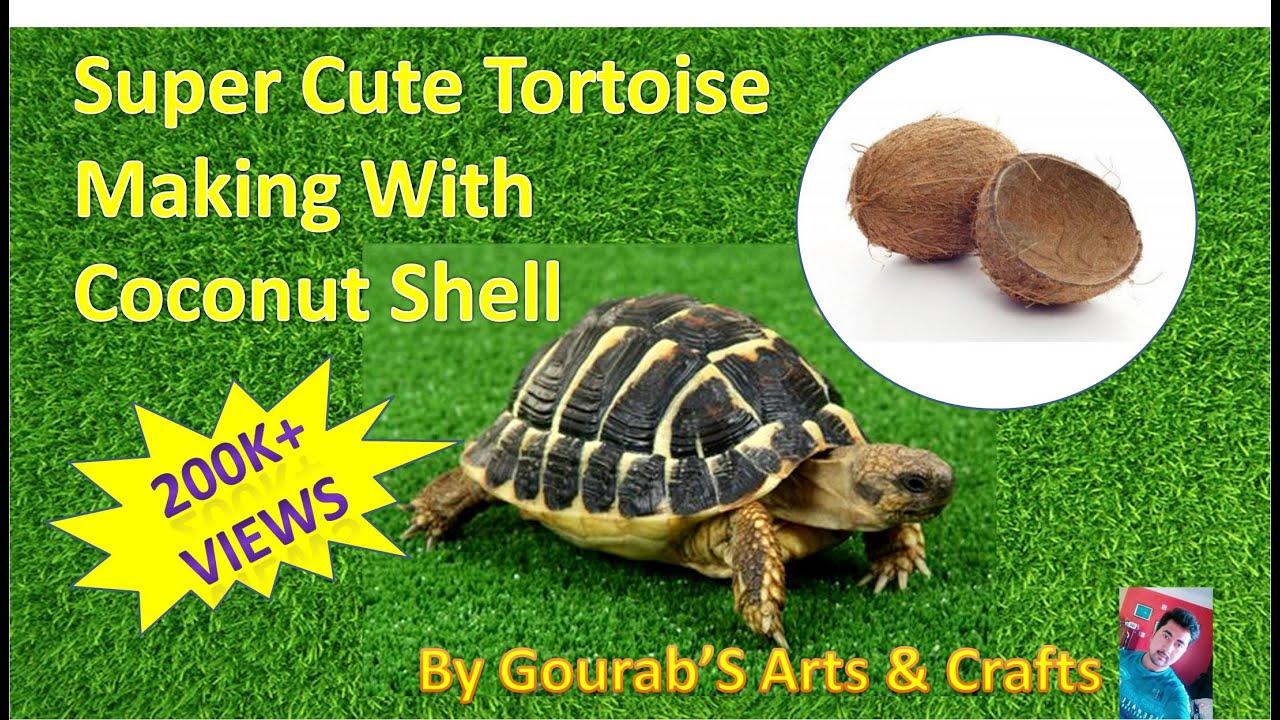 HandMade Turtle With Coconut Shell | Best From Waste Material- Hand Creativity-Easy Step to Follow |