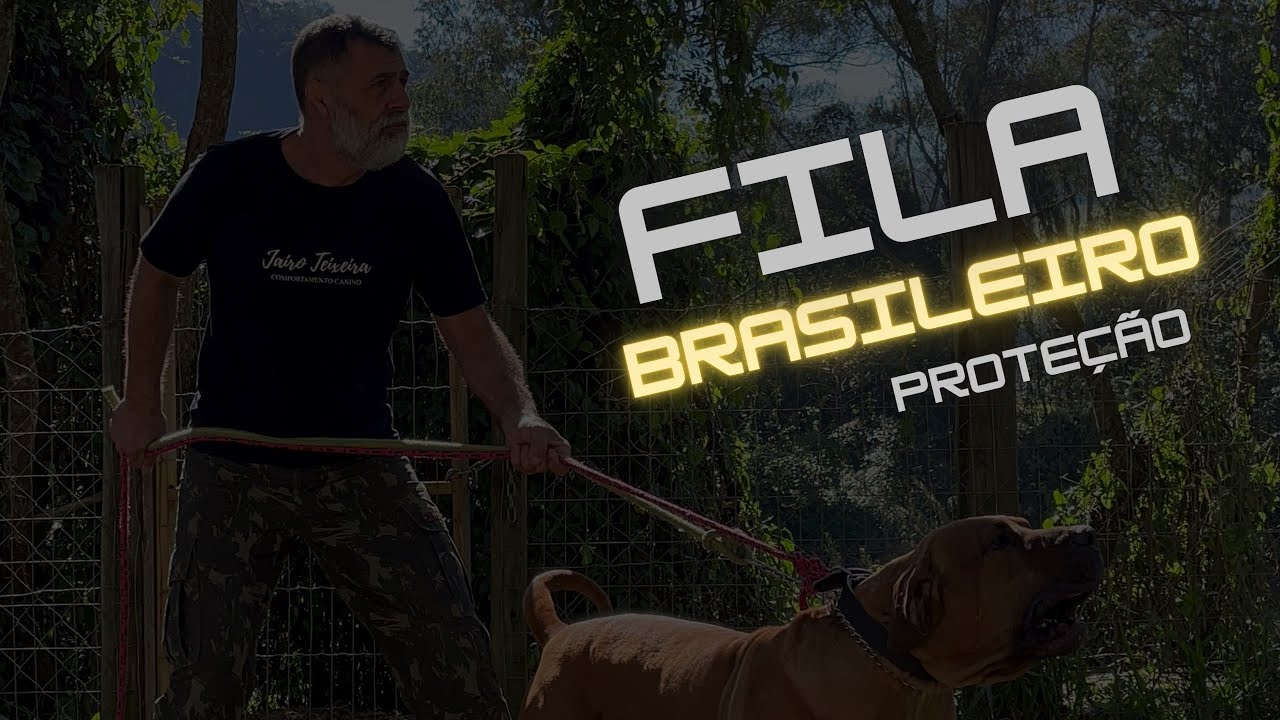 FILA BRASILEIRO - o treino continua!