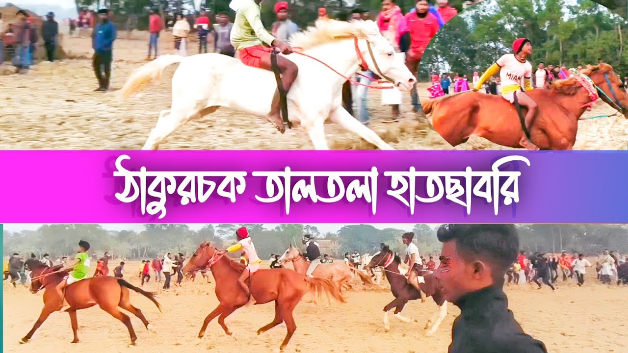 ঠাকুরচক তালতলা হাতচাবরি মাঠে ঘোড়া দৌড় প্রতিযোগিতা || জয়নগর থেকে কিছুটা দূরে নতুনহাট