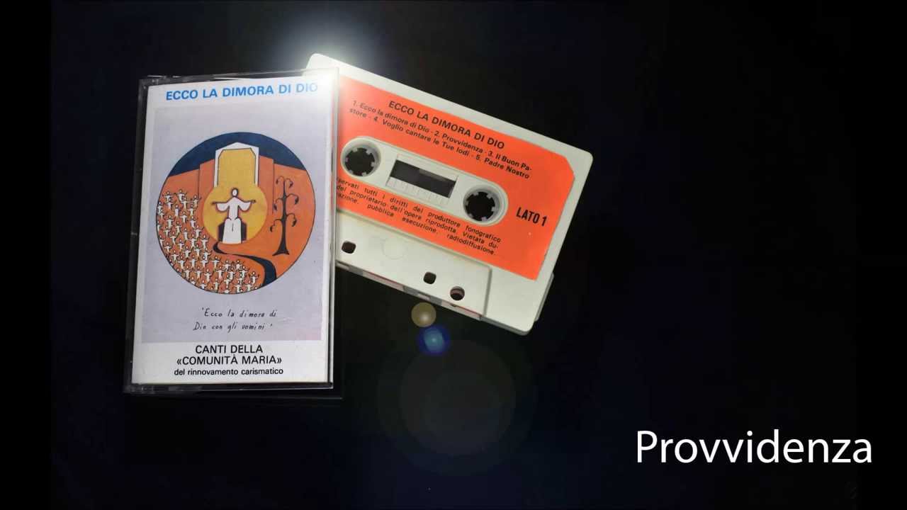Provvidenza (1981)