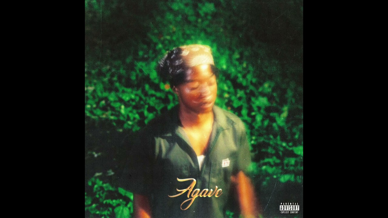 okay coleman! - Agave (Official Audio)