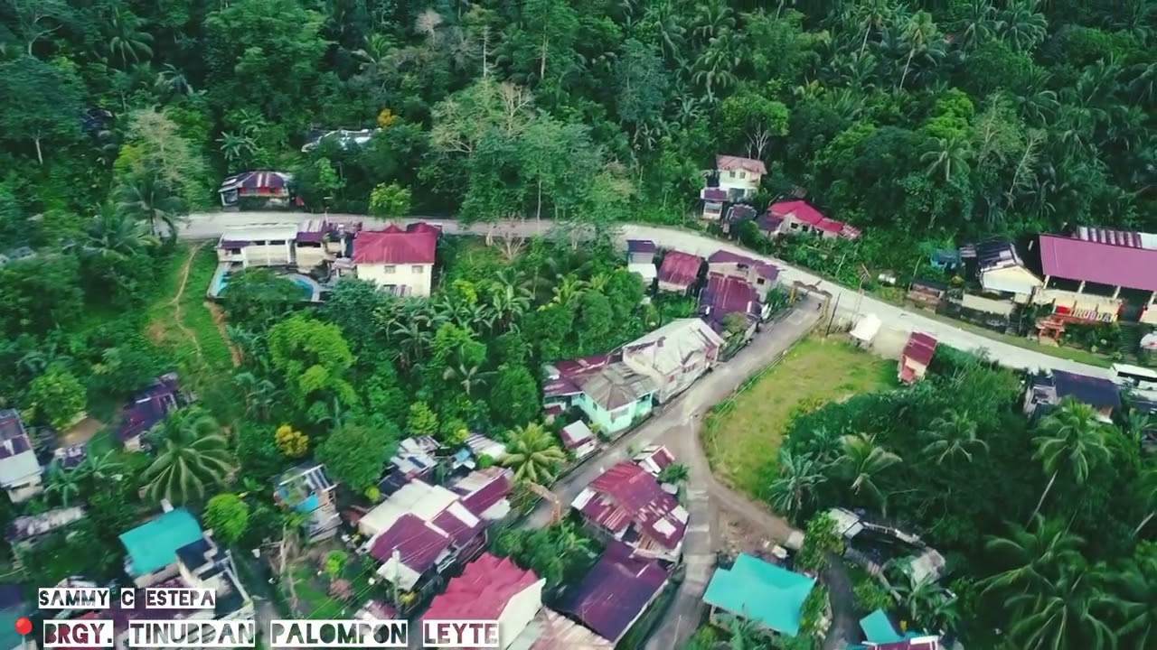 📍BRGY.TINUBDAN PALOMPON LEYTE