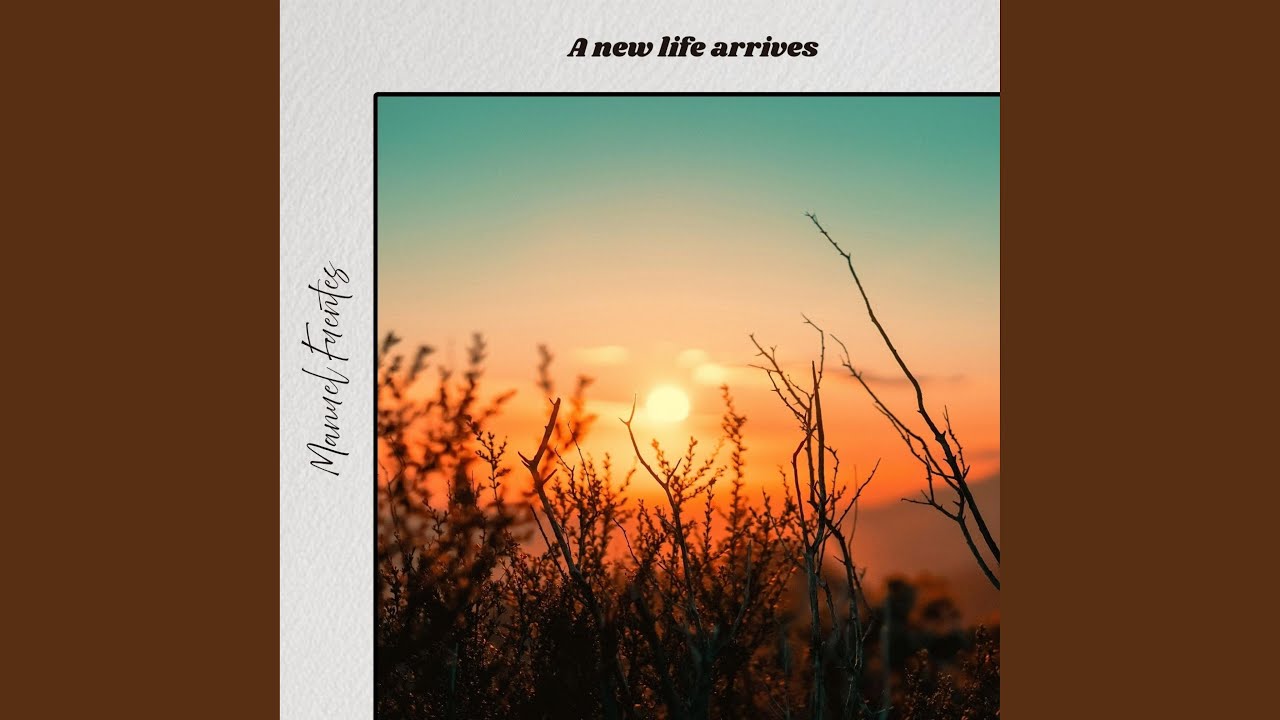 A new life arrives