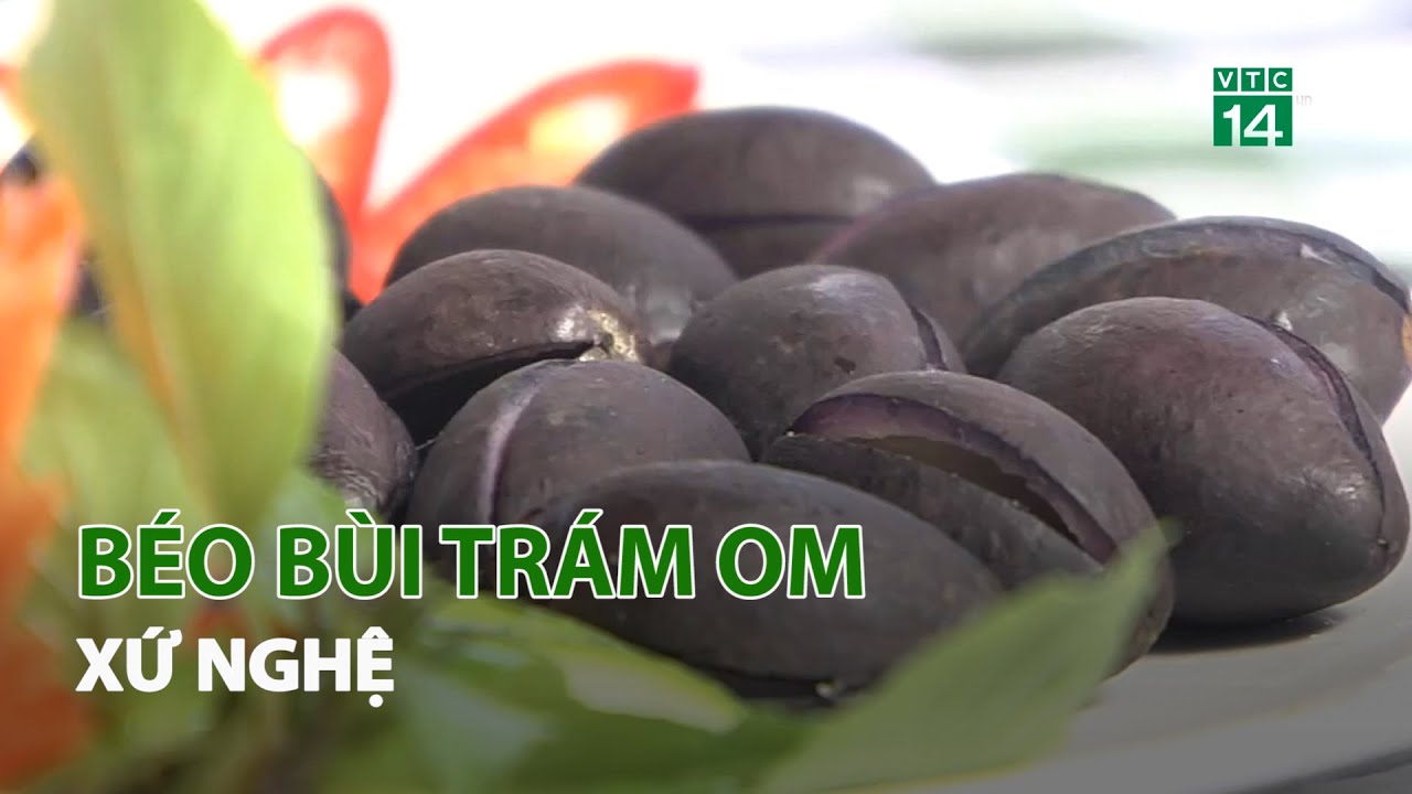 Béo bùi Trám om xứ Nghệ| VTC14