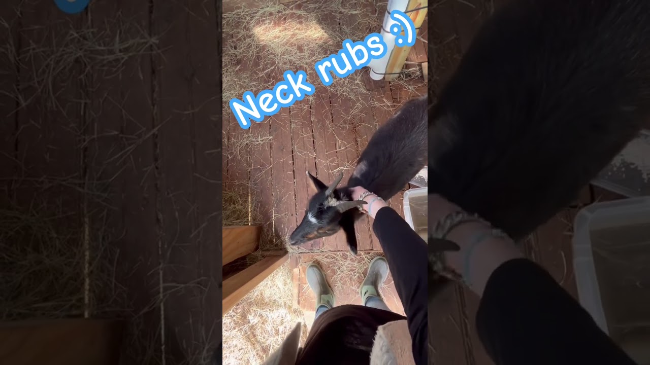 #farm