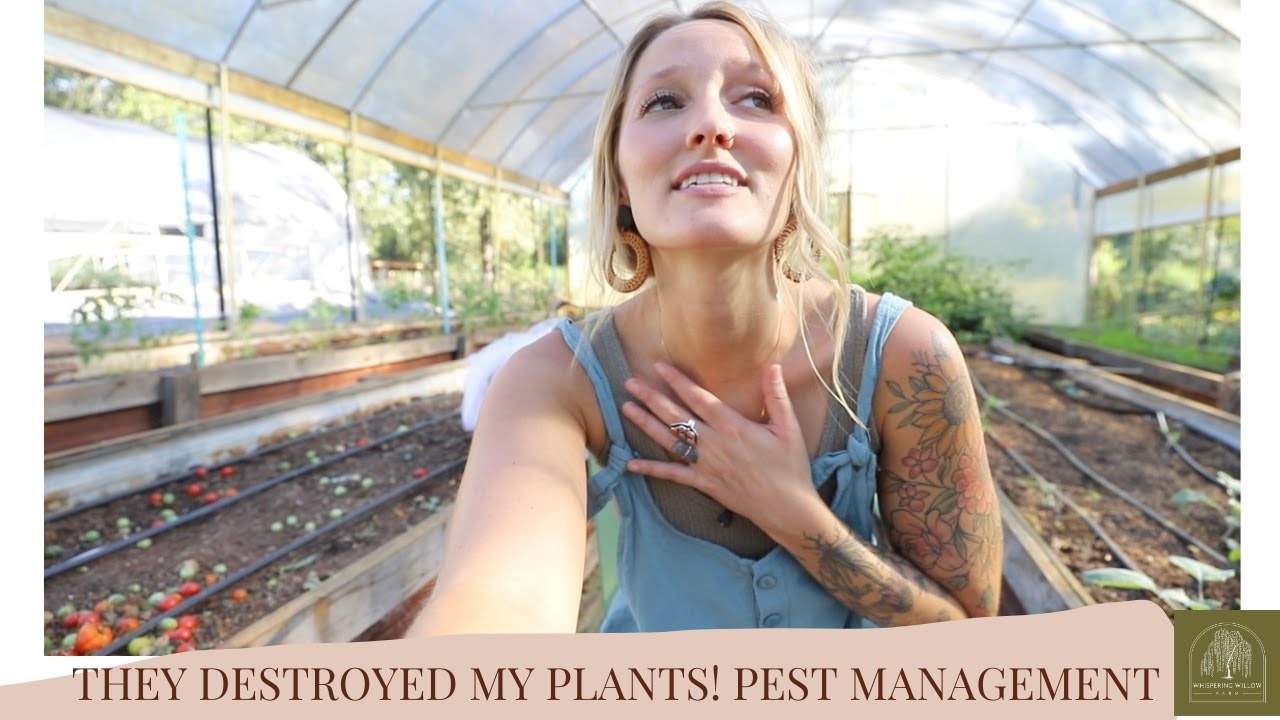 They DESTROYED my plants! Pest Management