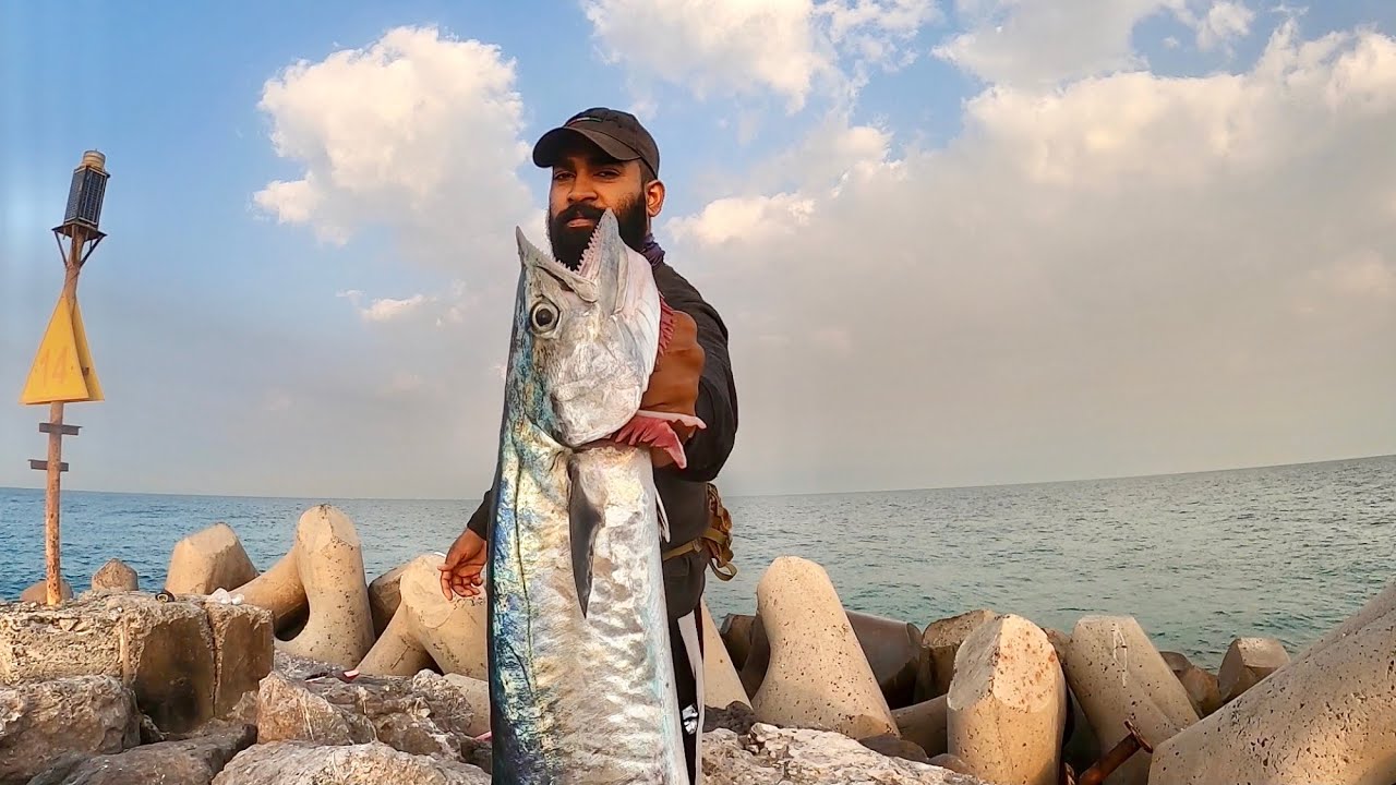 Kingfish || Shore Jigging King Mackerel Uae fishing