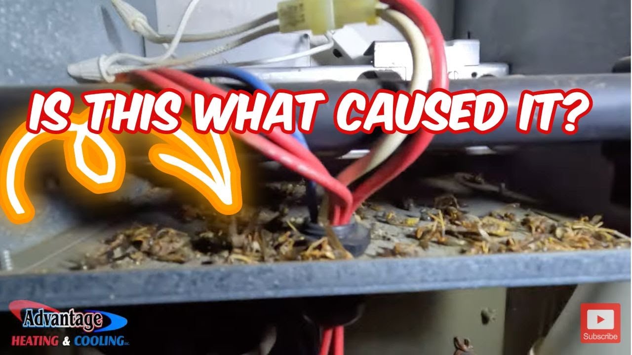 Устранение неполадок и устранение проблемы отсутствия нагрева: объяснение переключателя Amana Gas...