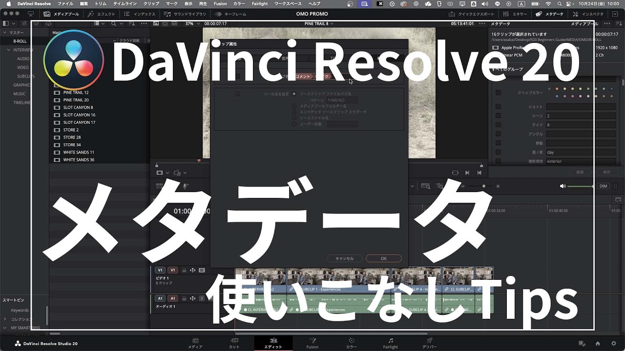 DaVinciResolve Tips メタデータの使いこなし