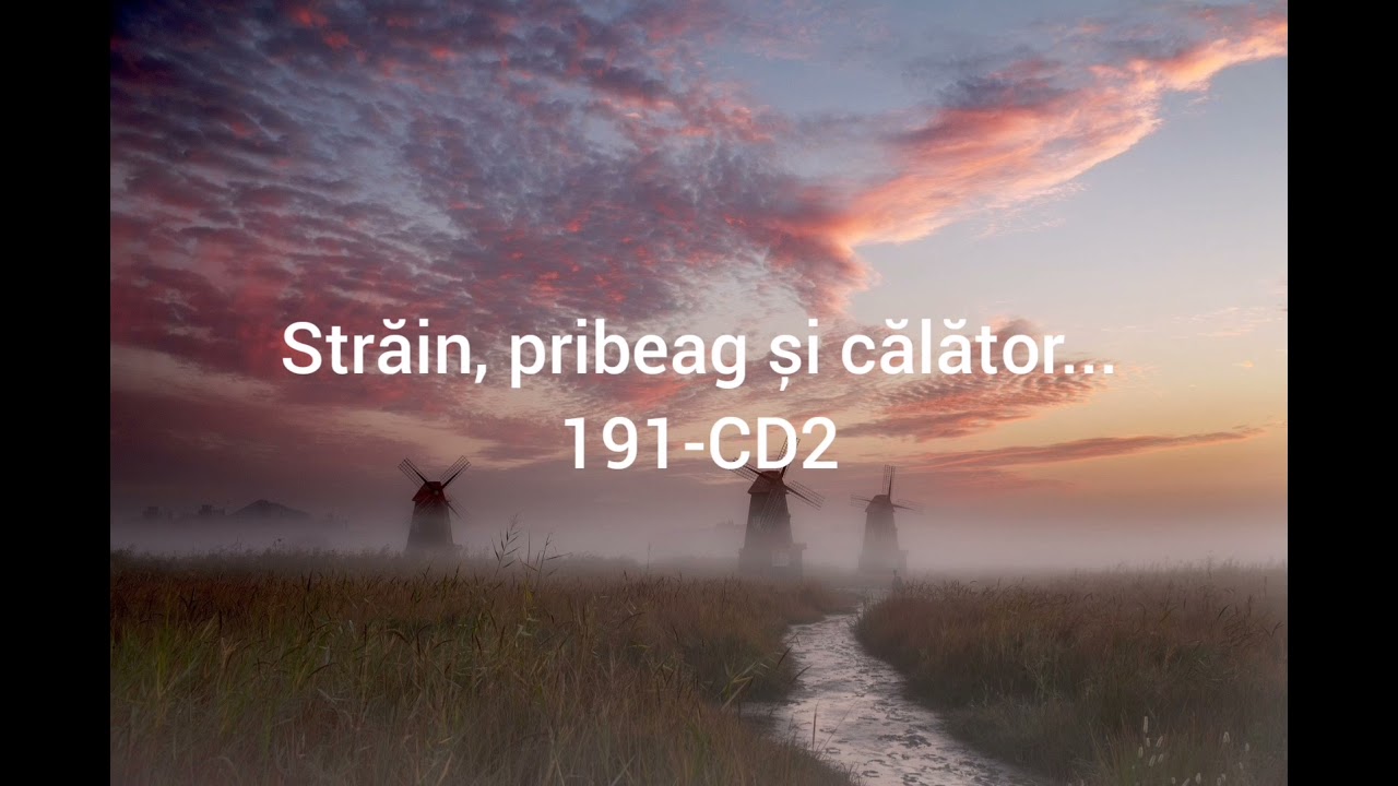Strain, pribeag si calator - Nicolae Moldoveanu