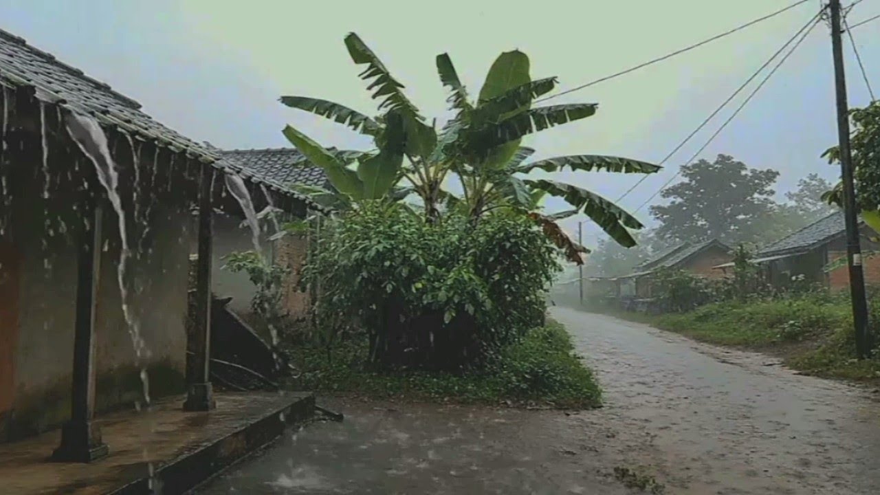 Very nice | the sound of rain in the countryside makes you fall asleep soundly