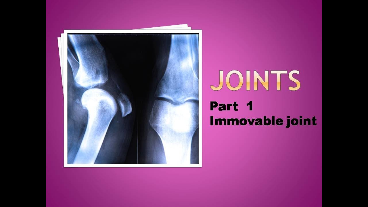 Joints part 1 (IMMOVABLE JOINTS)