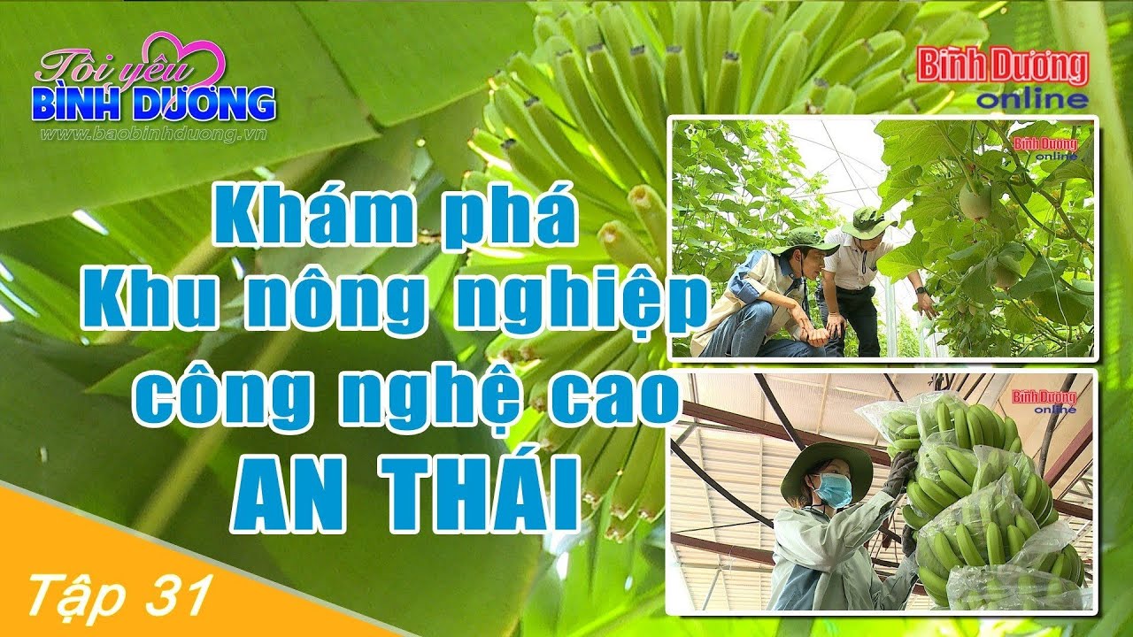 Tôi yêu Bình Dương: Khám phá Khu nông nghiệp công nghệ cao An Thái
